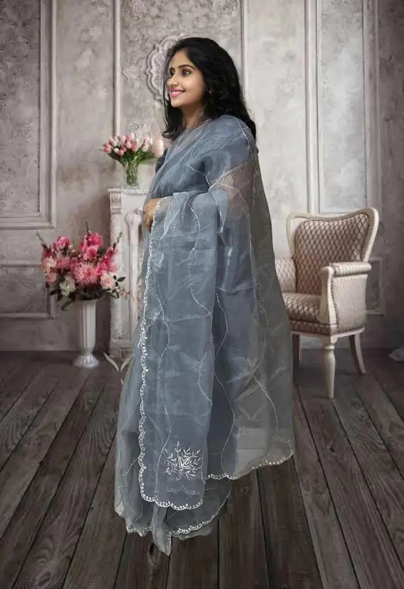 Ready to Wear Self Design Bollywood Tissue Saree